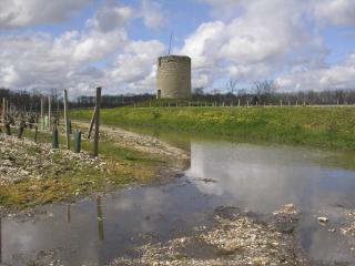 The Médoc - where the bourgeois live